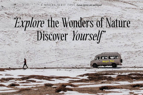 Dailyfully Typeface Font Storytype Studio 