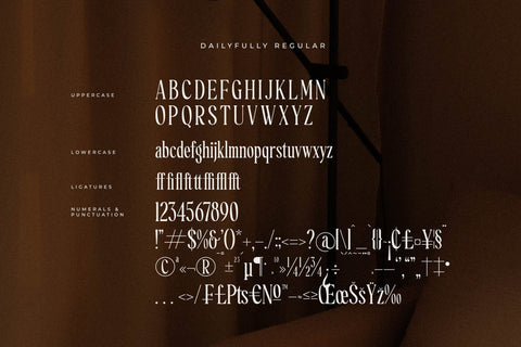 Dailyfully Typeface Font Storytype Studio 