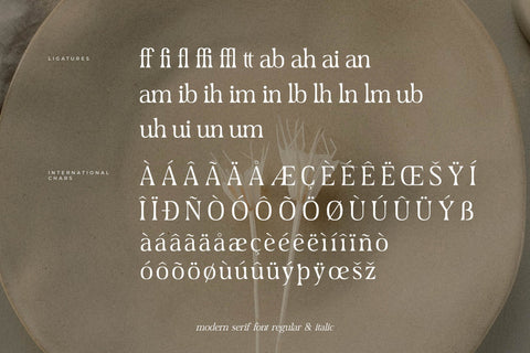 Dairing Typeface Font Storytype Studio 