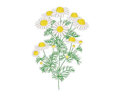 Daisy embroidery design, 3 sizes Embroidery/Applique DESIGNS Nino Nadaraia 
