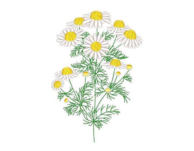 Daisy embroidery design, 3 sizes Embroidery/Applique DESIGNS Nino Nadaraia 