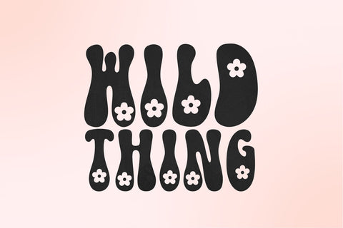 Daisy Field - Retro Handwritten Font Font KA Designs 