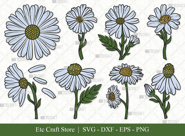 Daisy Flower Clipart SVG Cut Files | Daisy Flower Clipart Bundle | Daisy Flower Outline | Vector Cutting files | Floral SVG | Eps | Dxf | Png | SVG ETC Craft 