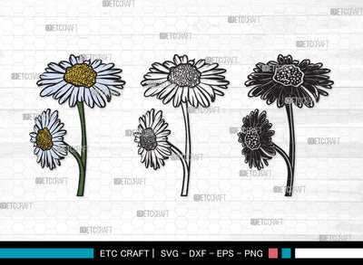 Daisy Flower SVG | Daisy Flower Clipart Bundle | Flower Svg | Daisy Flower Outline | Vector Cutting files | Daisy Flower Clipart SVG ETC Craft 