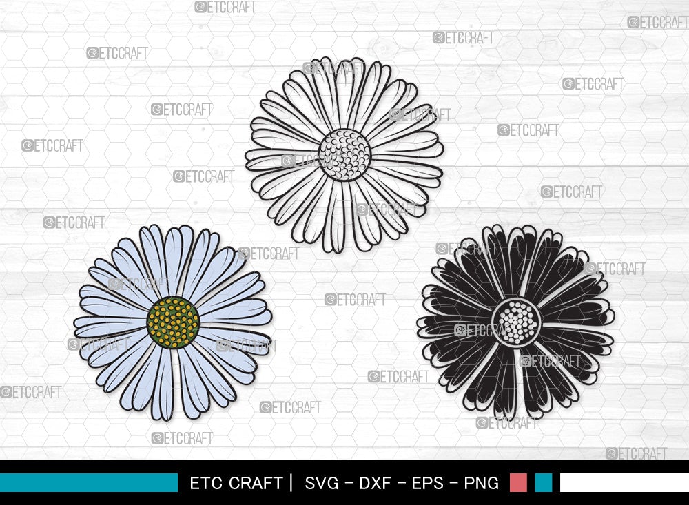 Daisy Flower SVG | Daisy Flower Clipart Bundle | Flower Svg | Daisy
