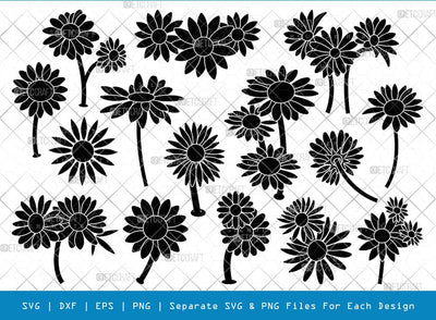 Daisy Flower SVG, Flower Silhouette, Floral Svg, Daisies Svg, Daisy Flower Bundle, SB00787 SVG ETC Craft 