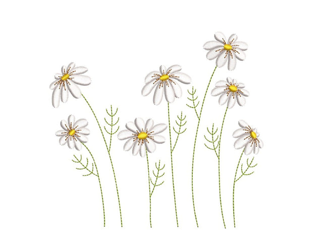 Daisy Flowers Embroidery Design, 4 sizes, Instant Download Embroidery/Applique DESIGNS Nino Nadaraia 