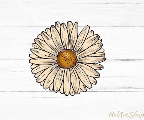 Daisy Png, Sublimation png, Flower Png Sublimation _HelArtShop_ 