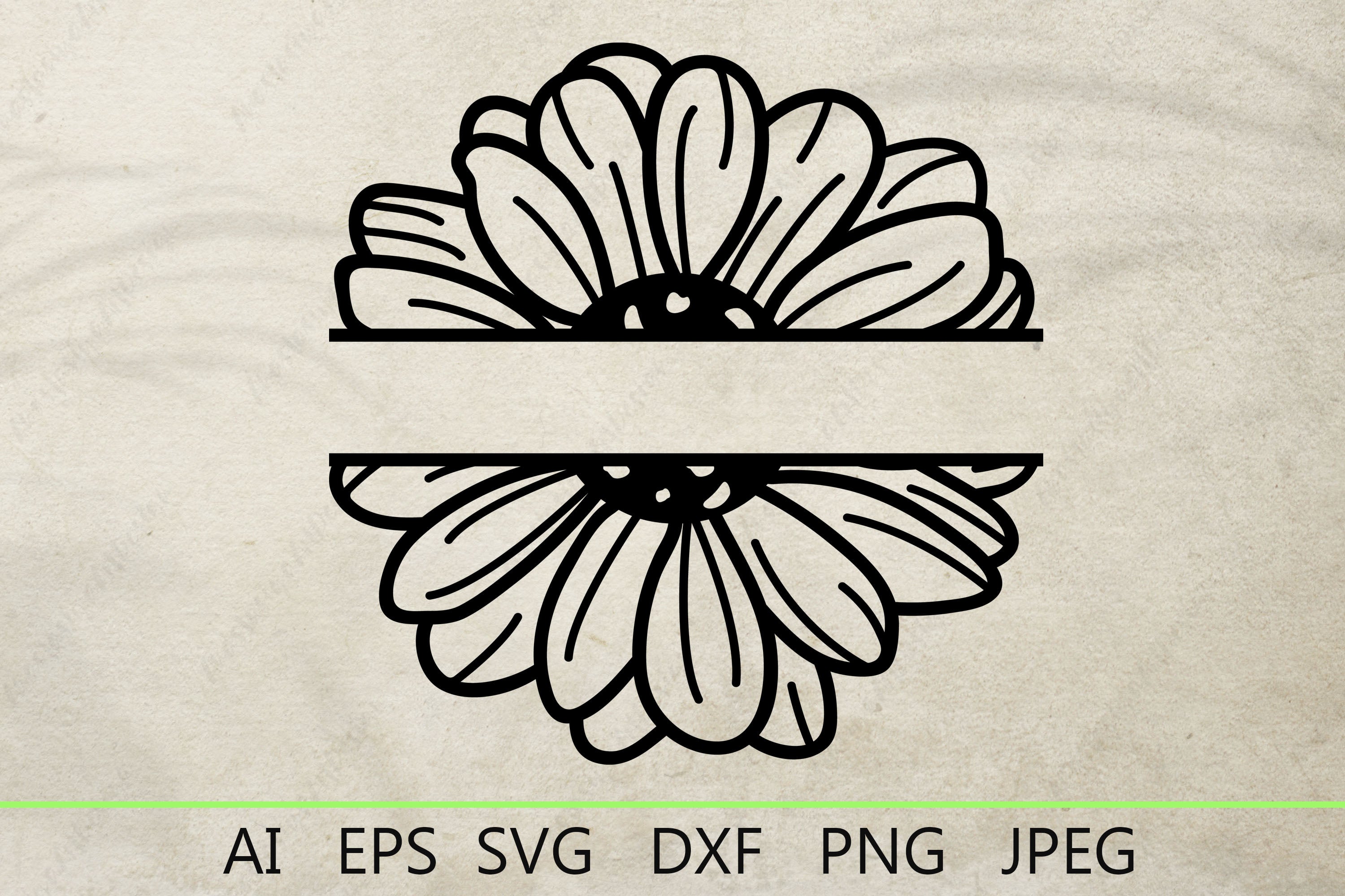 Flower Monogram, Flower Border SVG, Flower svg, Split Monogr