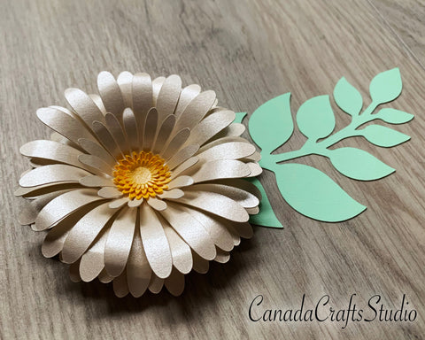 Daisy SVG + leaf SVG CanadaCraftsStudio 