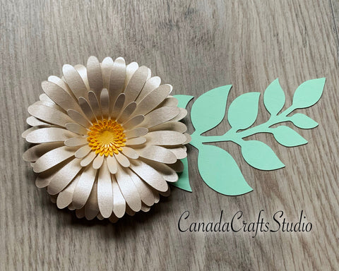 Daisy SVG + leaf SVG CanadaCraftsStudio 