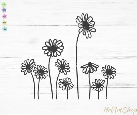 Daisy svg, wildflowers svg SVG _HelArtShop_ 