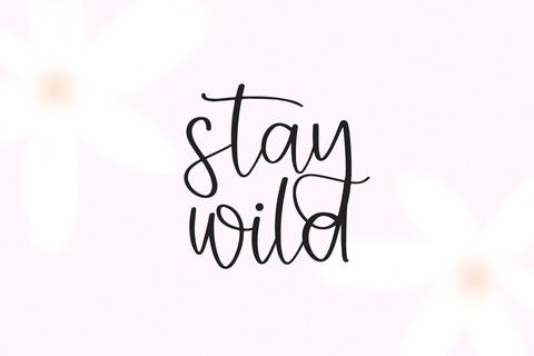 Daisytown - Modern Script Font Font KA Designs 