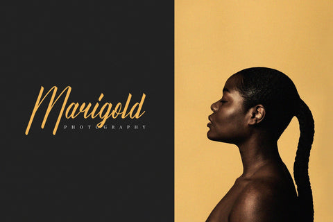 Dalechampia | Modern Luxury Script Font Font Katario Studio 