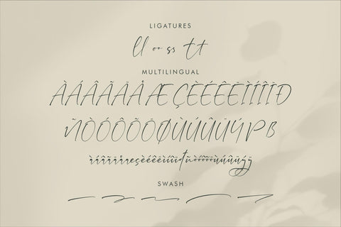 Daleficent Belasstina - Stylish Signature Font Font Storytype Studio 