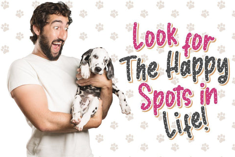 Dalmaspot Dalmatian Spot Typeface Font Creatype Studio 