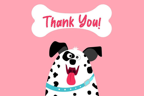 Dalmaspot Dalmatian Spot Typeface Font Creatype Studio 