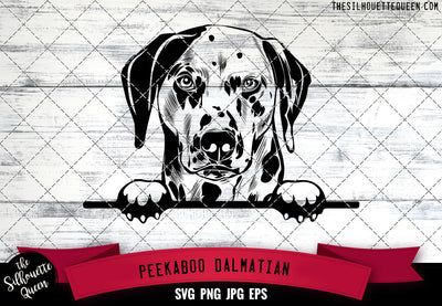 Dalmatian Peek A Boo | Peekaboo | Peeking Dog Face SVG for Glowforge, Cricut, Laser, Silhouette, Scan n cut files SVG Loveleen Kaur 