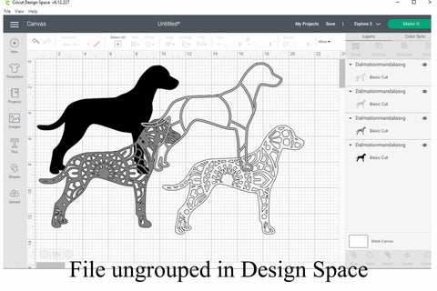 Dalmation Mandala Layered SVG SVG Digital Honeybee 