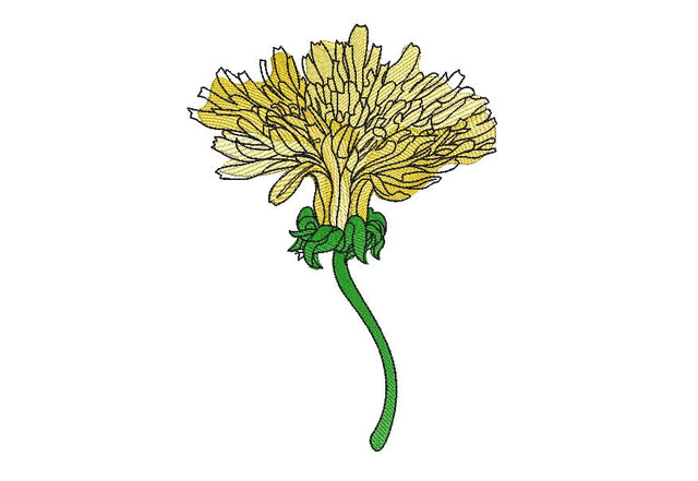 Dandelion Machine Embroidery Design Embroidery/Applique DESIGNS Angie 