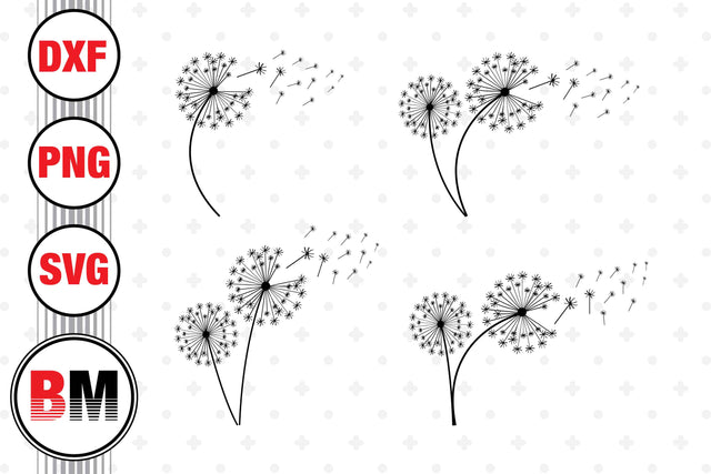 Dandelion SVG, PNG, DXF Files SVG BMDesign 
