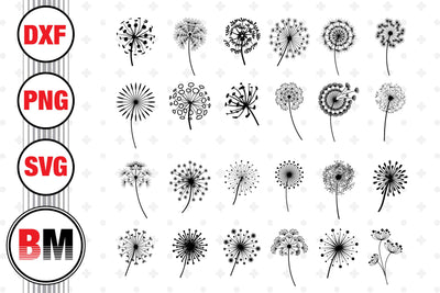 Dandelion SVG, PNG, DXF Files SVG BMDesign 