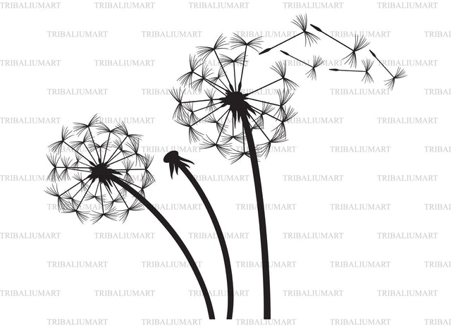 Dandelion SVG TribaliumArtSF 