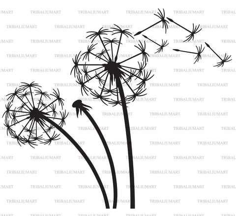 Dandelion SVG TribaliumArtSF 