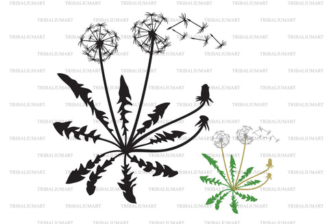 Dandelion with seeds and leaf SVG TribaliumArtSF 