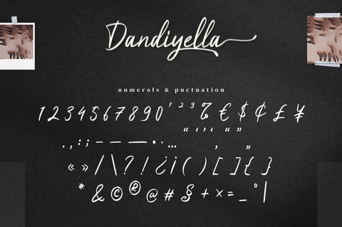 Dandiyella - Handwritten Swash Font Font Ibey Design 