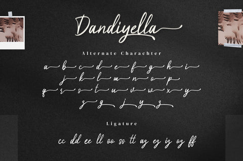 Dandiyella - Handwritten Swash Font Font Ibey Design 