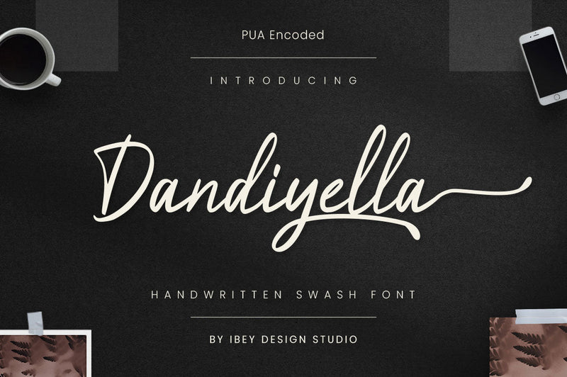Dandiyella - Handwritten Swash Font Font Ibey Design 