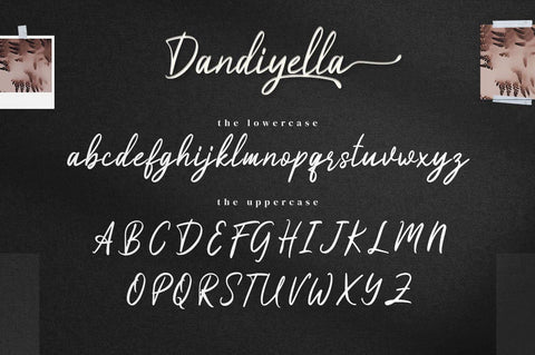 Dandiyella - Handwritten Swash Font Font Ibey Design 