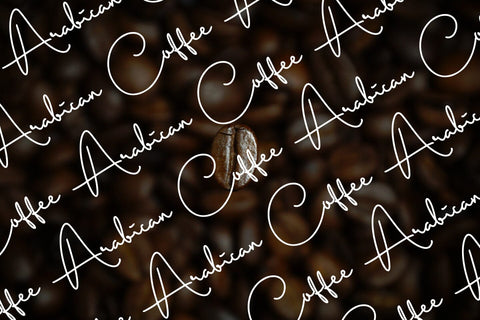 Daniel Signature Font Abo Daniel Studio 