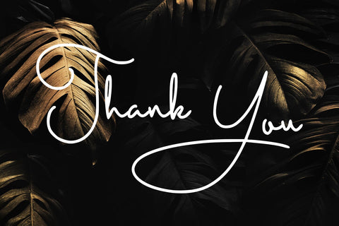 Daniel Signature Font Abo Daniel Studio 