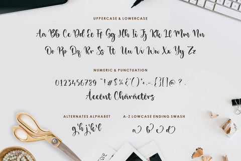 Danisha Modern Handwritten Font Font Balpirick 