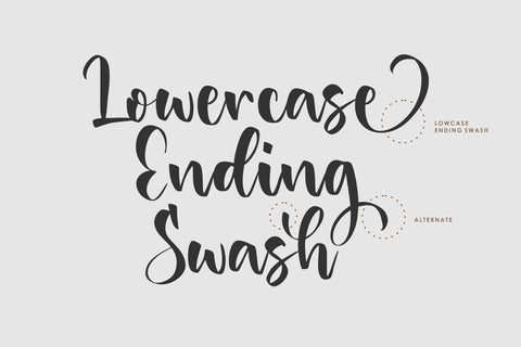 Danisha Modern Handwritten Font Font Balpirick 