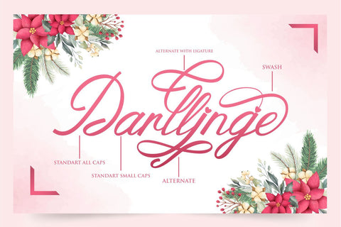 Darllinge Font zainstudio151 
