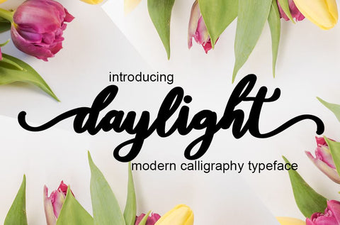 Daylight Script Font Mrletters 