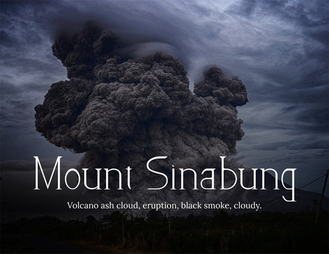 Dead Wood Serif Typeface Font inferno.studio3 