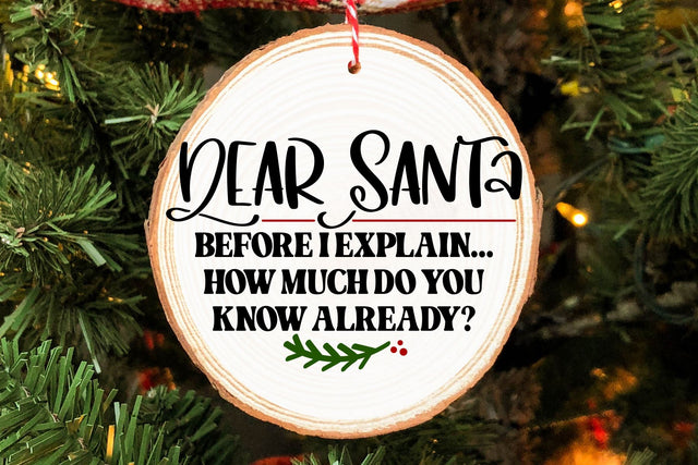 Dear Santa Before I Explain How Much Do You Already Know Svg, Png, Dxf | Christmas File SVG RedFoxDesignsUS 