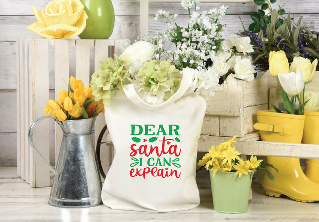 Dear santa i can explain SVG SVG BB Type Studios 