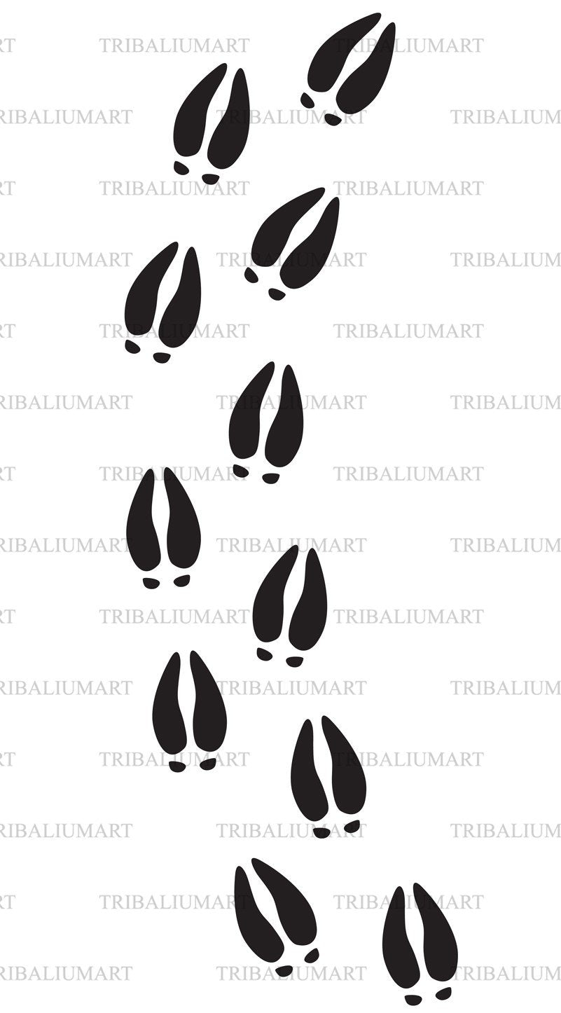Whitetail Deer Tracks Clip Art