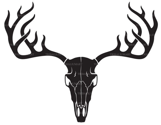 Deer skull SVG TribaliumArtSF 