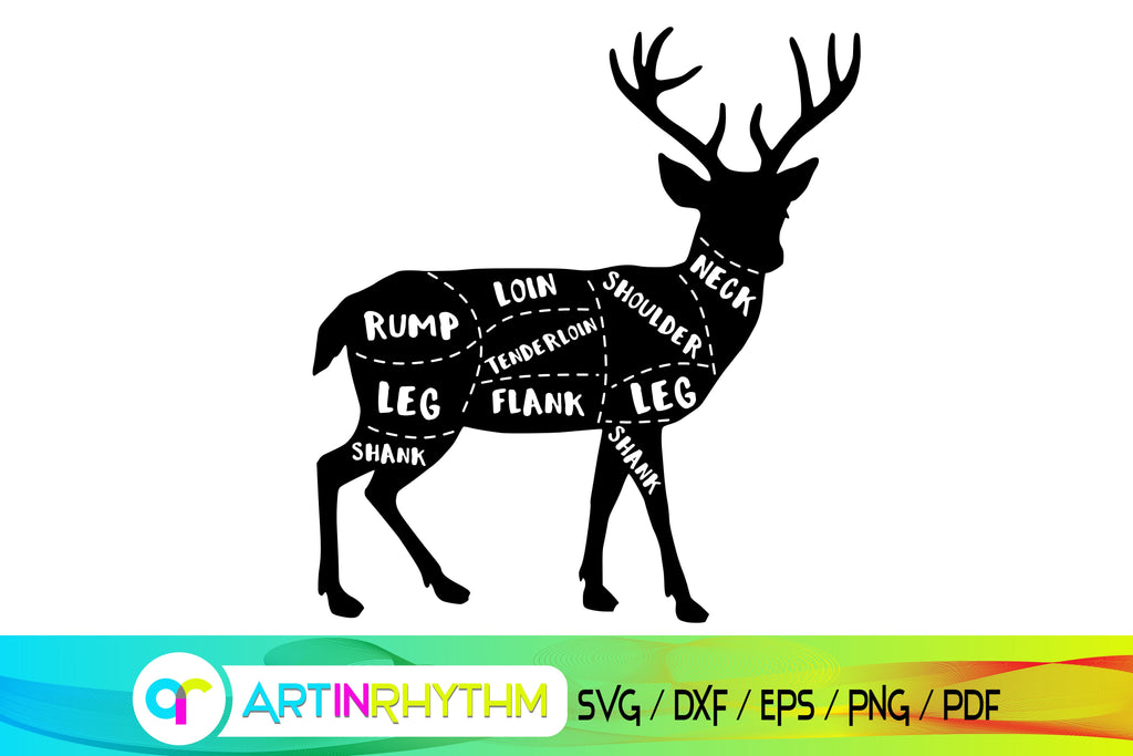deer svg, meat cuts, meat chart, butcher cut - So Fontsy