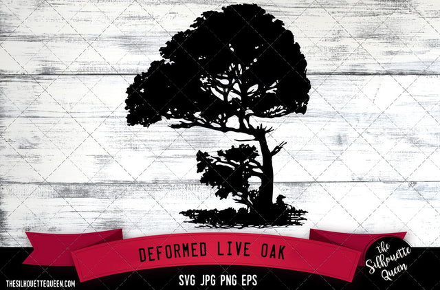 Deformed Live Oak SVG -Vector Art Commercial & Personal Use- Cricut,Silhouette,Cameo,Vinyl Cut SVG Loveleen Kaur 
