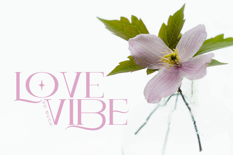 Delao Qord Font JH-CreativeFont 