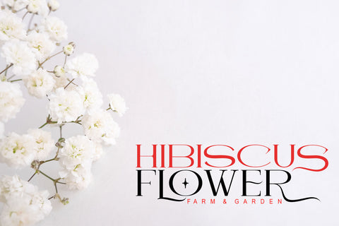 Delao Qord Font JH-CreativeFont 