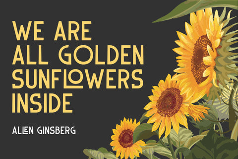 DELAQRUS Typeface Font Storytype Studio 