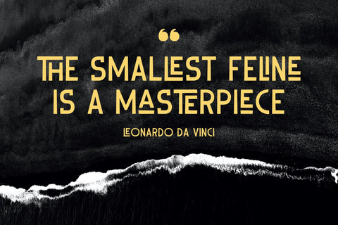 DELAQRUS Typeface Font Storytype Studio 